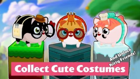 猫小盒(Kitty in the Box)