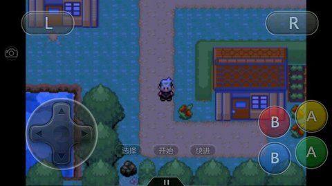 口袋妖怪：雪之白