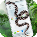 蛇屏幕恶作剧（Snake On Screen Hissing Joke）