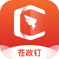 苍政钉
