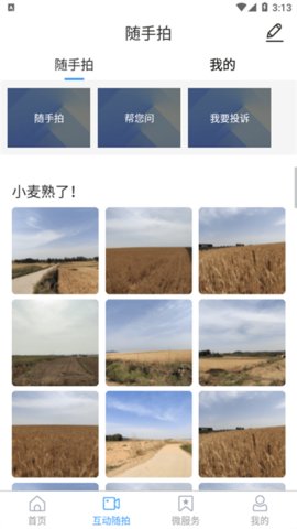 临沭首发