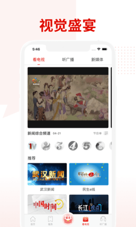 掌上武汉app