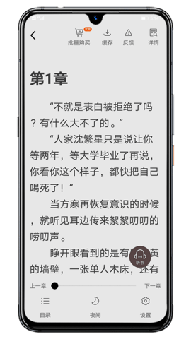 炫书网app软件