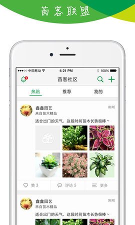 林业苗木资源