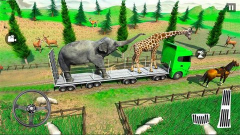 动物运输卡车越野（Animal Transporter Offroad Drive）