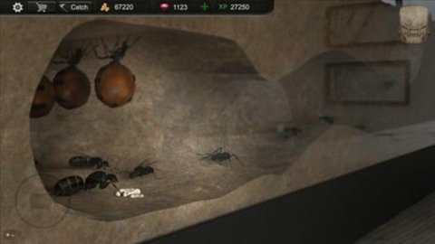 蚂蚁模拟大亨（Ant Sim Tycoon）