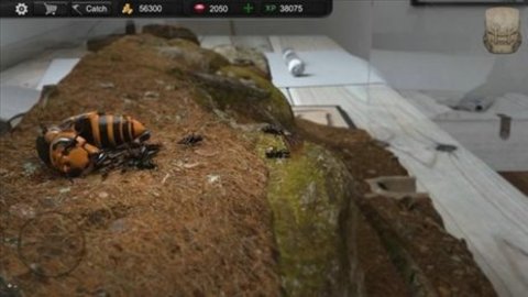 蚂蚁模拟大亨（Ant Sim Tycoon）