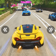方程式游戏大师赛车（Car Race Pro）