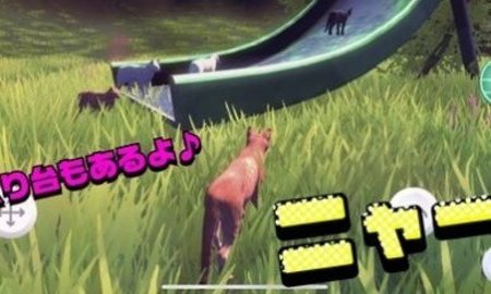 猫的春天（ネコデース）