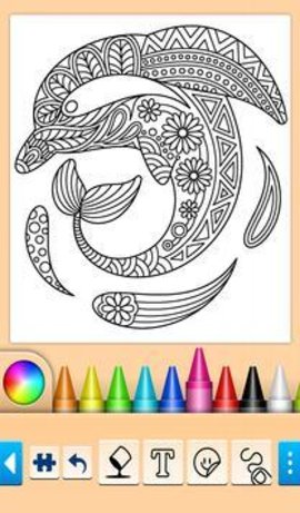 鱼和海豚（Fish and Dolphins）
