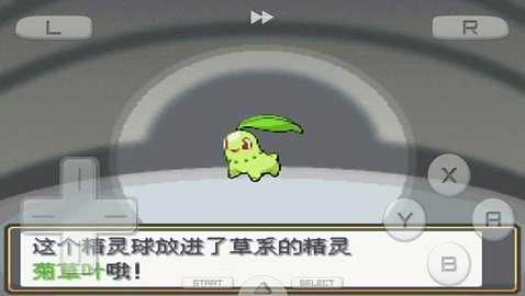 口袋妖怪心金v3.0