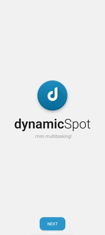 dynamic Spot