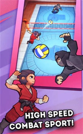 功夫排球（Kungfu Volleyball）