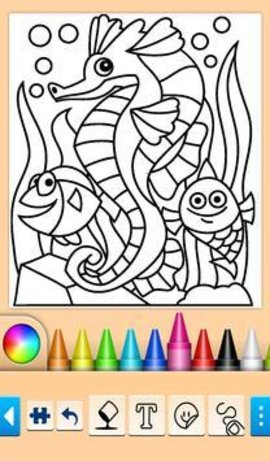 鱼和海豚（Fish and Dolphins）