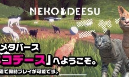 猫的春天（ネコデース）