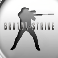 野蛮打击反恐精英野蛮(Brutal Strike)