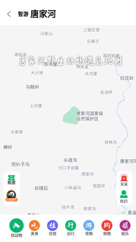 智游青川