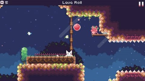 飞天萌猫（Cat Bird）