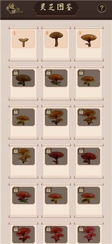 天天种灵芝游戏