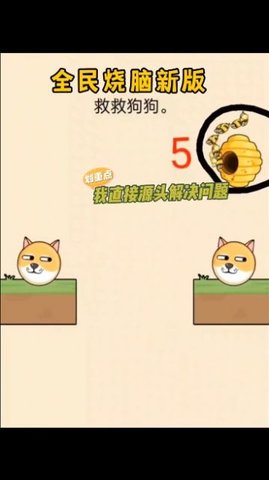 狗狗与蜜蜂游戏(Doge and Bee)