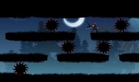 忍者之魂影子传奇（NinjaSoul）