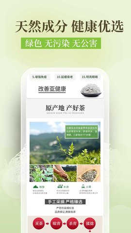 土家莓茶降三高