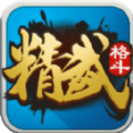 精武格斗