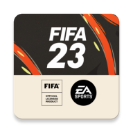 fifa23（Companion）