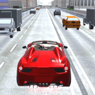 真实驾驶交通（Real Drive Traffic）