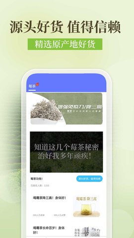 土家莓茶降三高