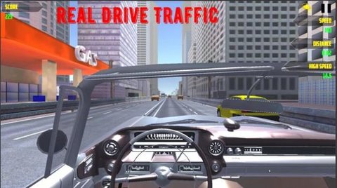 真实驾驶交通（Real Drive Traffic）