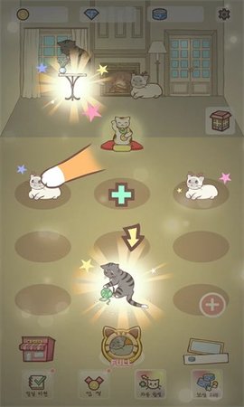 猫咪宿舍正版