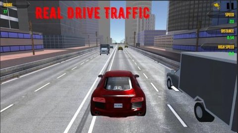 真实驾驶交通（Real Drive Traffic）