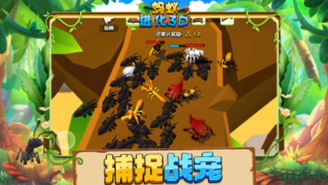 蚂蚁进化3D游戏