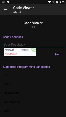 代码查看器（Code Viewer）