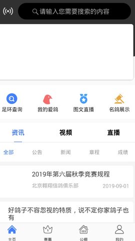 信鸽纵横