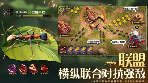 小小蚁国免登录版