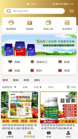 小肥龙