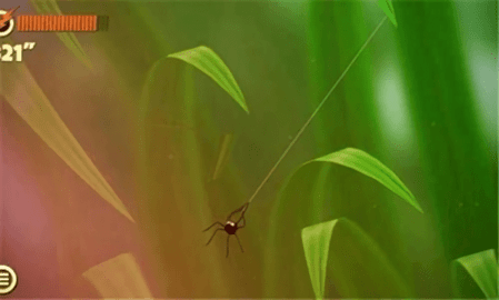 蜘蛛的冒险（Spider Trouble）