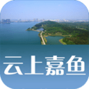 云上嘉鱼