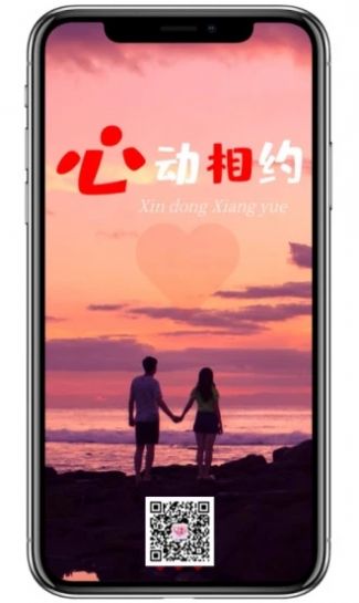 桂柳网