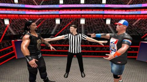 摔跤战斗进化3D（Wrestling Fight Revolution 3D）