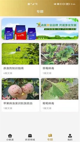 小肥龙