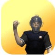 金牌裁判2（The Golden Umpire2）