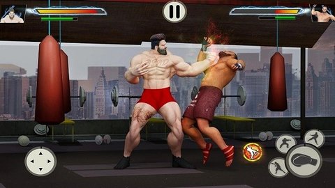 gym格斗（Gym Fighting）
