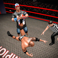 摔跤战斗进化3D（Wrestling Fight Revolution 3D）