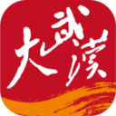长江日报（大武汉）
