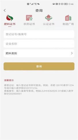 小肥龙