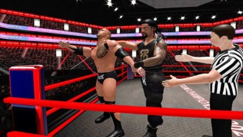 摔跤战斗进化3D（Wrestling Fight Revolution 3D）