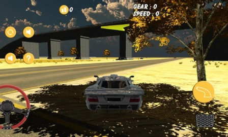 沙漠汽车模拟器（Real Car Driving - Desert Drive）